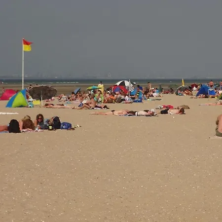 Huijsmansverhuur Type Premium De Luxe Grevelingen 13 *