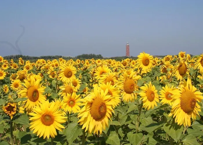 Huijsmansverhuur Type Premium De Luxe Grevelingen 13 Nyaraló Ouddorp